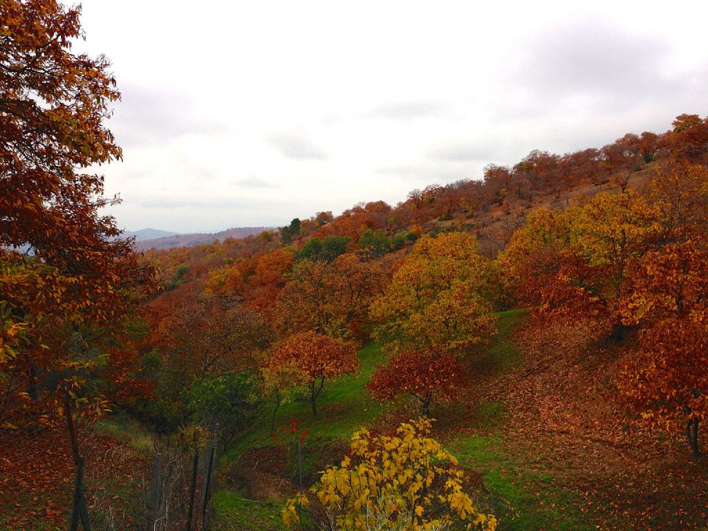 Valles de España para una escapada en otoño Genal