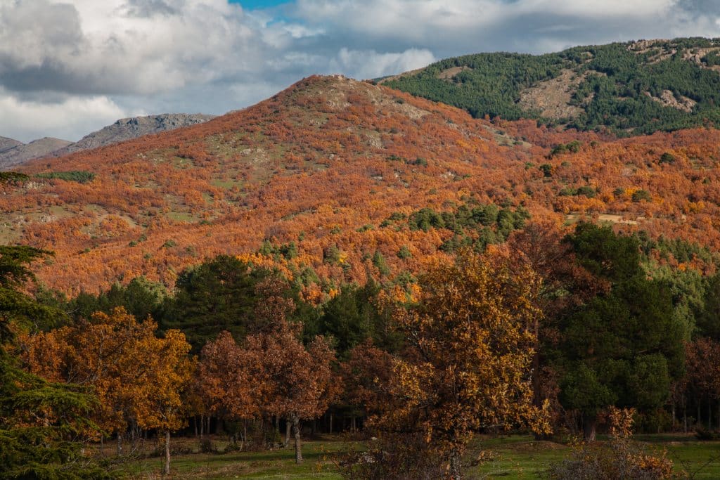 Valle del Lozoya en otoño