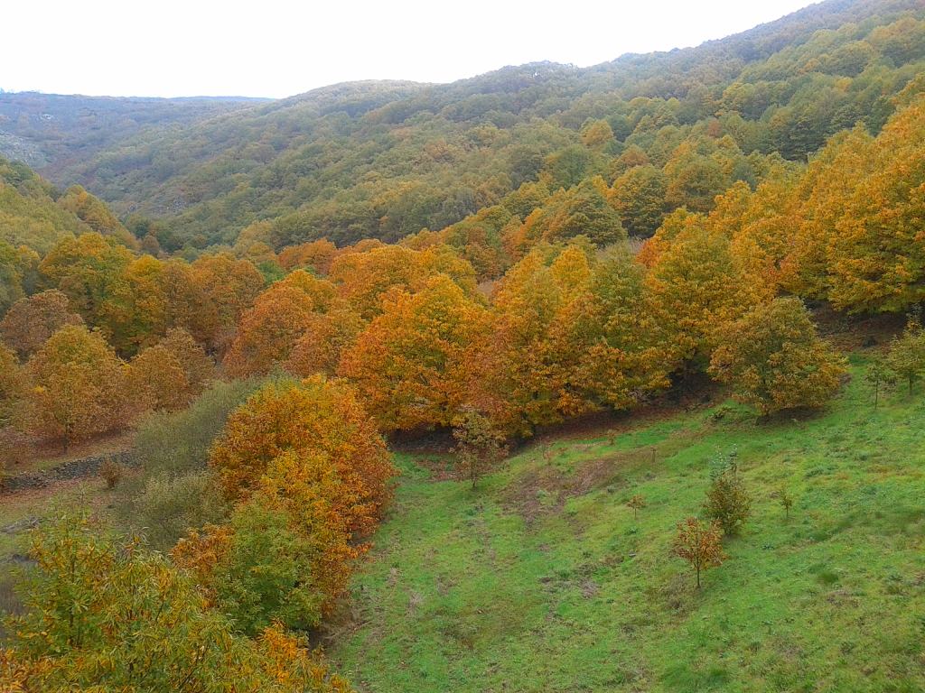 Valles de España para una escapada en otoño Jerte
