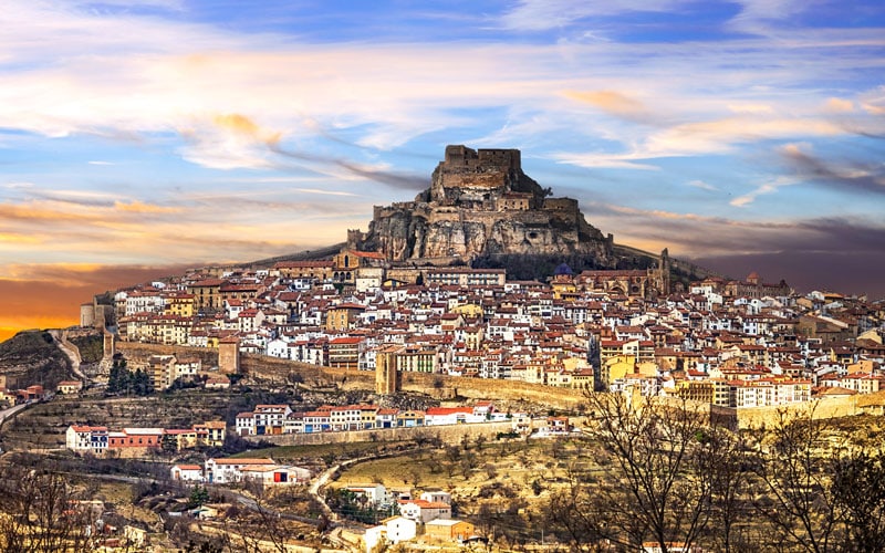 Morella