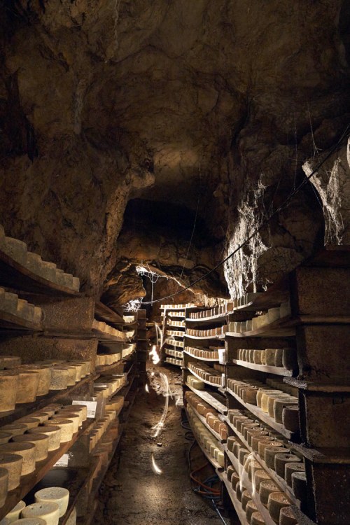 Cabrales cheese ripening cave