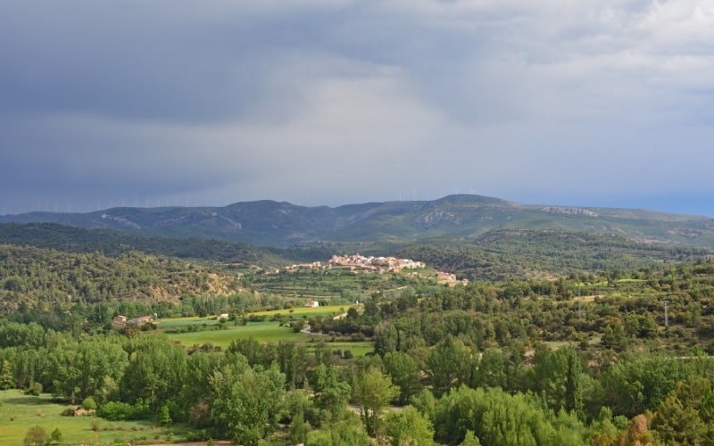 Vegetación del Maestrazgo entre Teruel y Castellón geoparque
