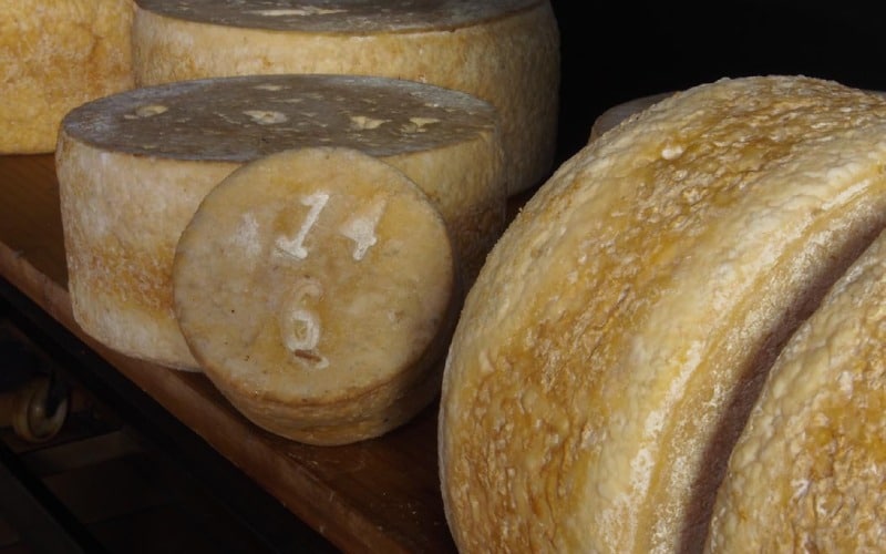 Gamonéu cheese ready to mature