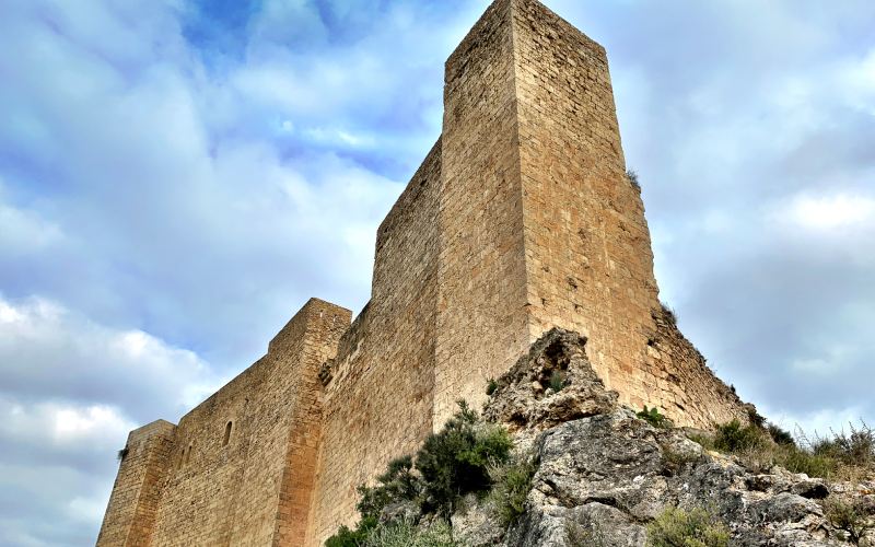 Fragmento del muro de la fortaleza