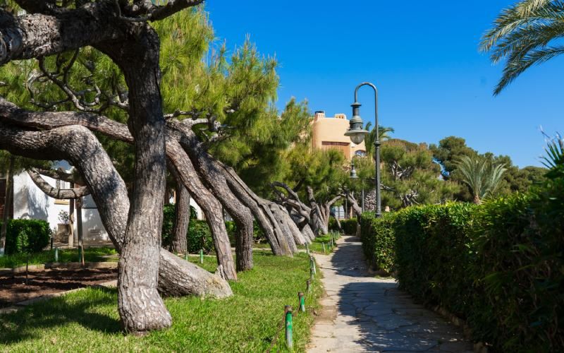 Passeig de la Ribera
