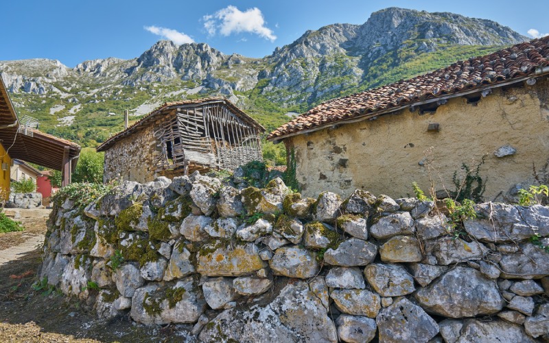 Bermiego