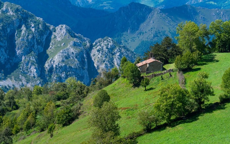 Bermiego