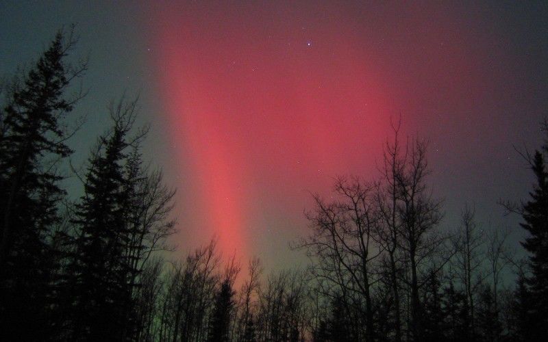 Red polar aurora