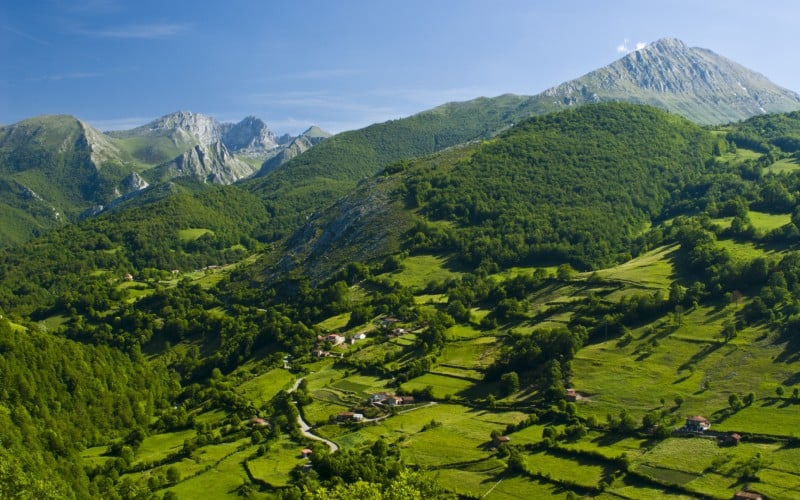 green asturias colour