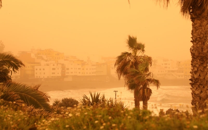 Calima in Tenerife