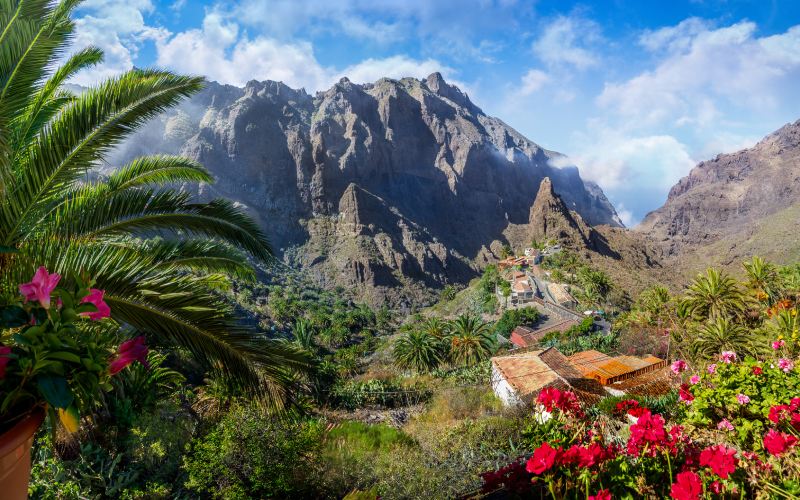 Masca tenerife
