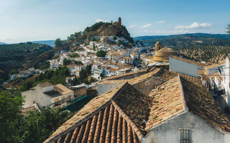Red-tiled houses and a castle on a rock in the background
