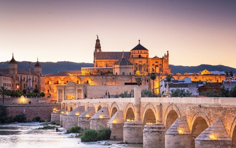 A bridge over a river and a city on the other side