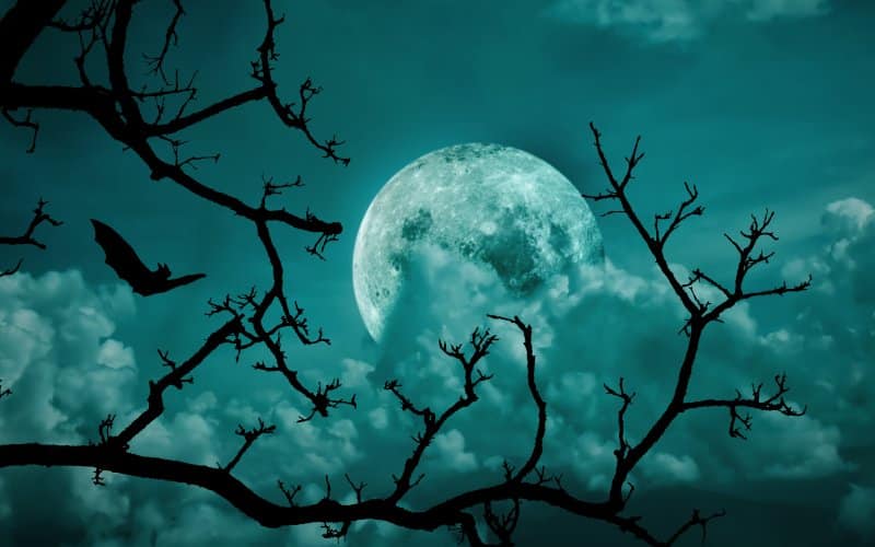 The moon hidden behind some clouds and gloomy tree branches