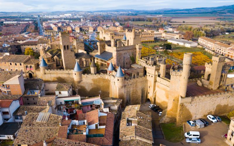 Panoramic view of the Royal Palace in Olite