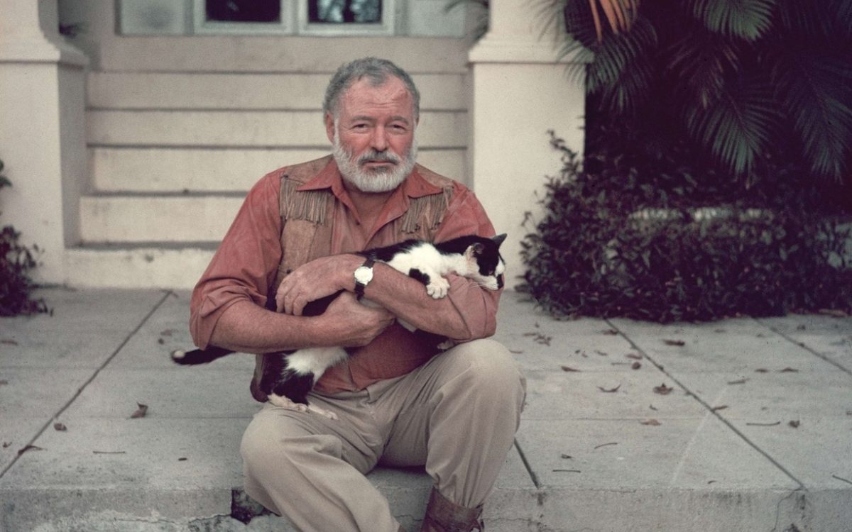 Hemingway with a cat.