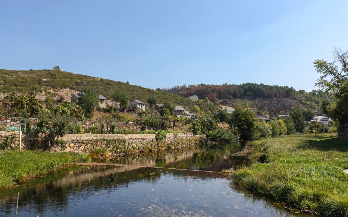 Rihonor de Castilla.