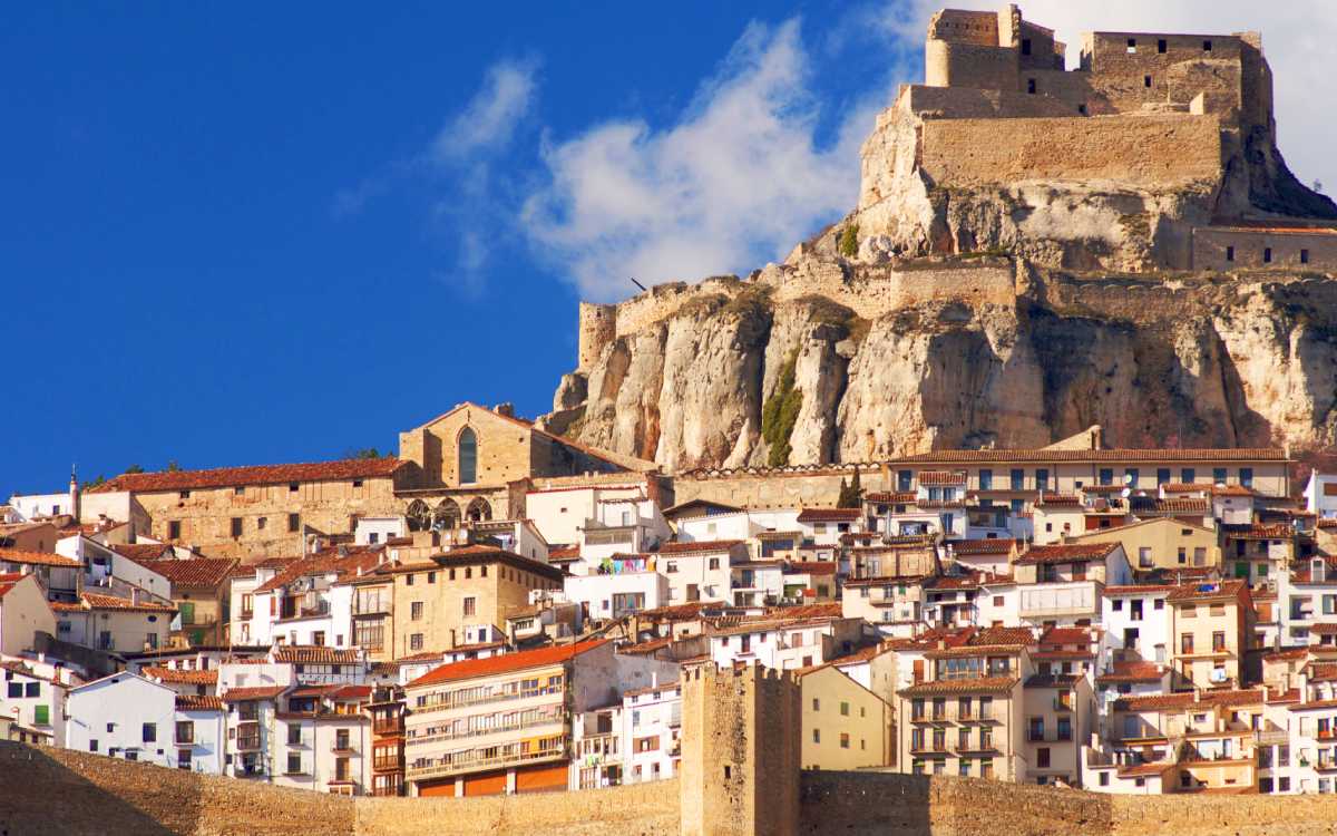 Morella.