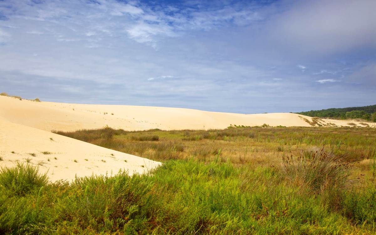 Dunes of Corrubedo.