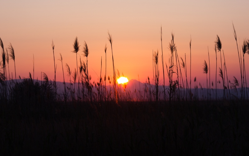 A beautiful sunset full of orange and red shades as seen from a marshland