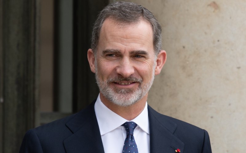 A close picture of the king of Spain