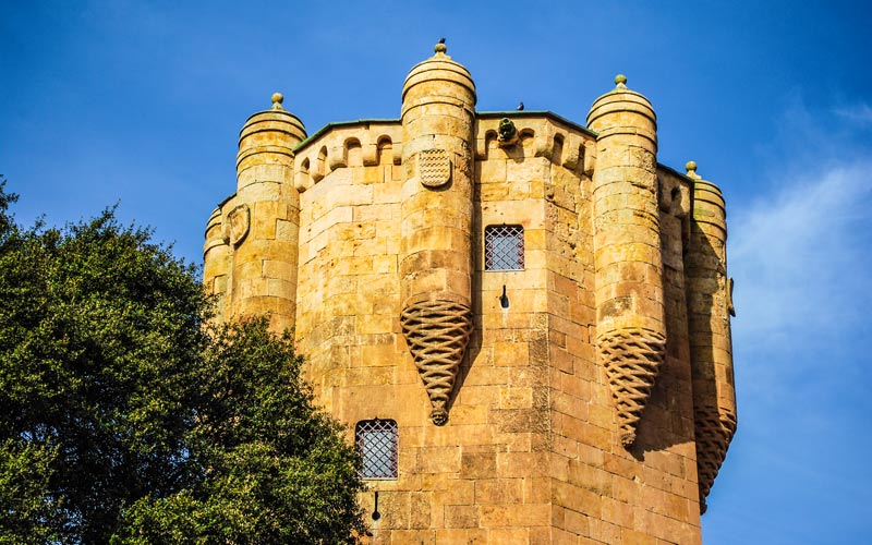 Castillos góticos de castilla y león