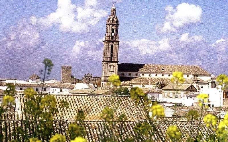 An old picture with a church and its tower, some plants in the front of the photo