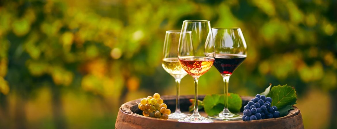 Three glasses with red, white and rose wine and some grapes on barrel, and vineyards in the background