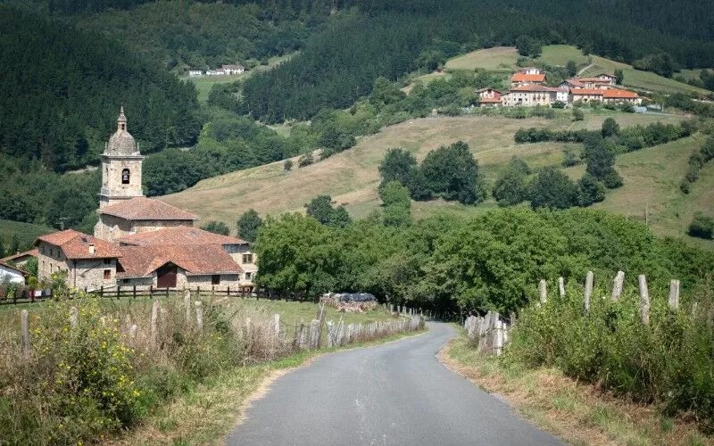 A road and some houses in the countryside