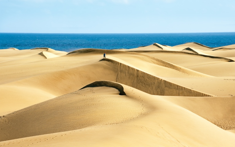 The Maspalomas dunes