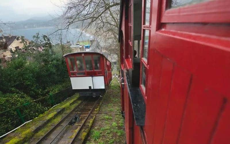 A red cable car on a rail between trees
