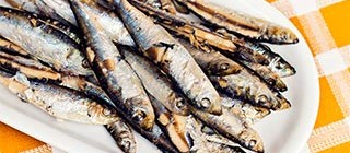 sardinas chipiona