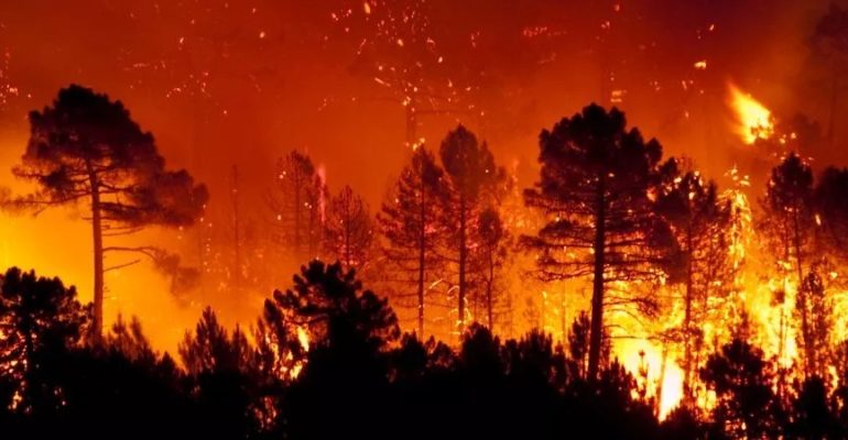 The worst fires in the history of Spain