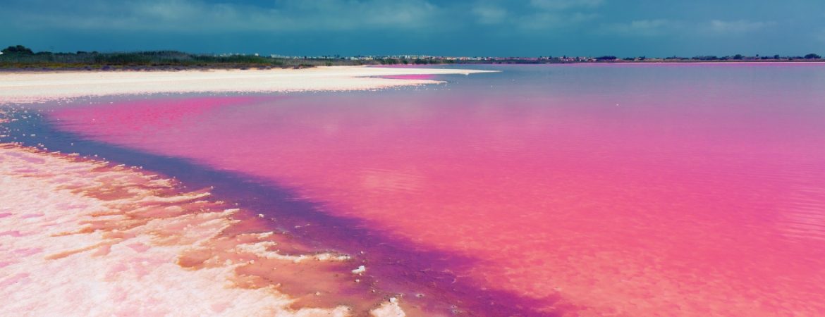 Pink lagoon in Torrevieja