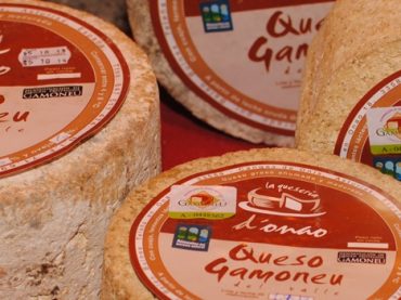 Gamonéu or Gamonedo Cheese, a blue cheese from Picos de Europa