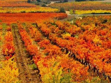 Getaway and what to see in La Rioja