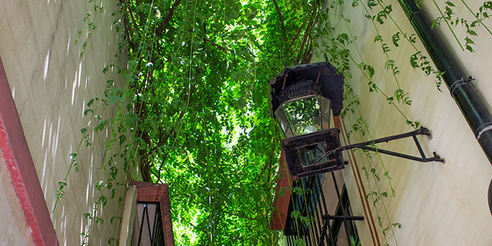 Calle Verde Sevilla