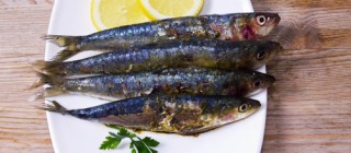 sardinas almunecar