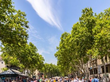 Las Ramblas in Barcelona, the emblematic centre of the Catalan capital