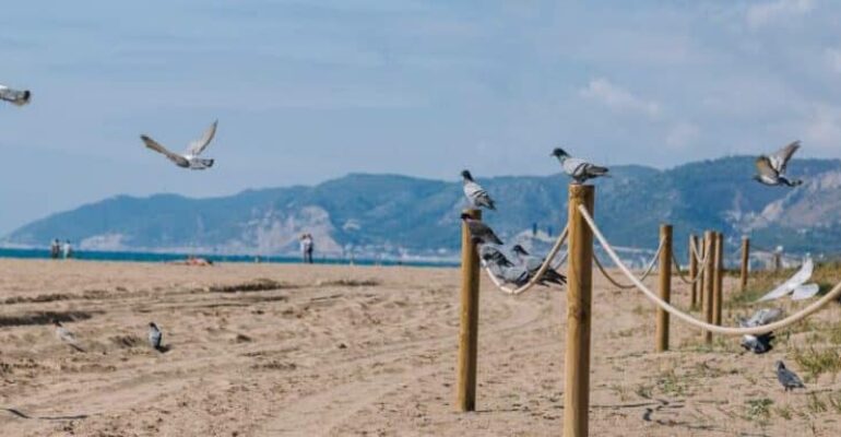 Navigating the best beaches to escape from the busy Barcelona
