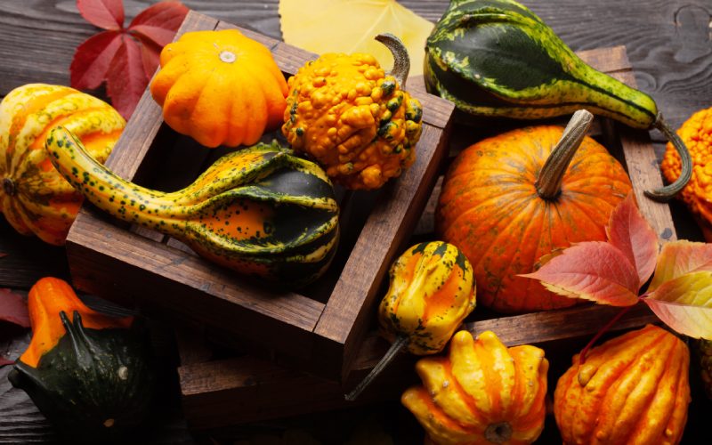 Pumpkins of different shapes and colours on a table with autumn leaves